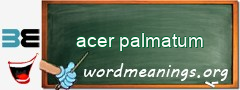 WordMeaning blackboard for acer palmatum